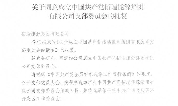金百博能源集团党支部正式成立！