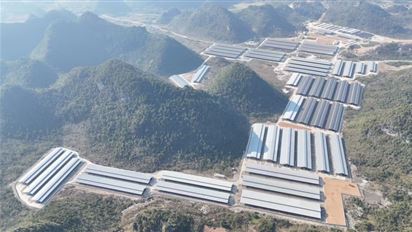 天等县牛舍屋顶光伏项目